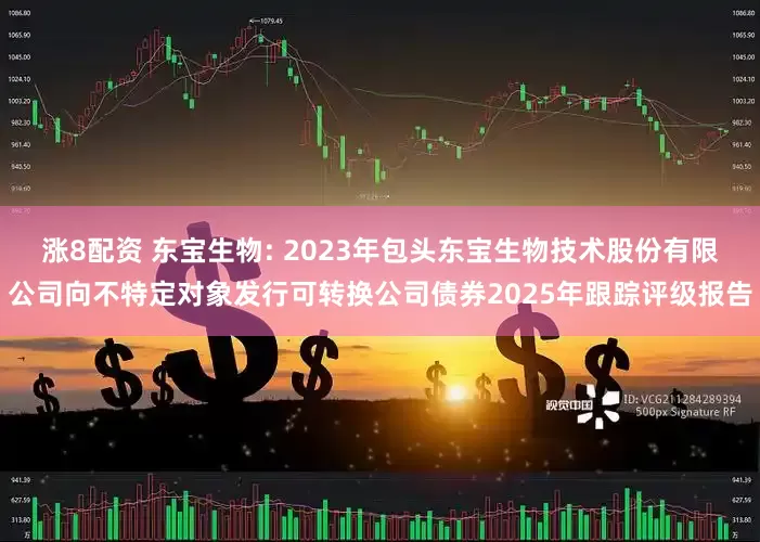 涨8配资 东宝生物: 2023年包头东宝生物技术股份有限公司向不特定对象发行可转换公司债券2025年跟踪评级报告